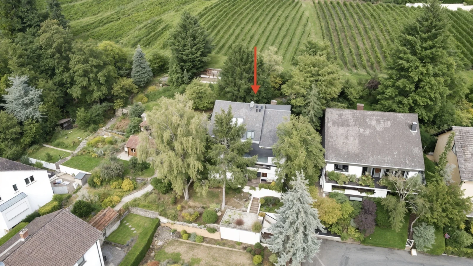 Ein Zuhause am Weinberg – wo Natur, Ruhe und Lebensqualität aufeinandertreffen — Bild 1 von 35