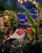 Garten - Stilvolle Büro- oder Praxisräume in Budenheim — 8&nbsp;Min bis Mainz Hbf